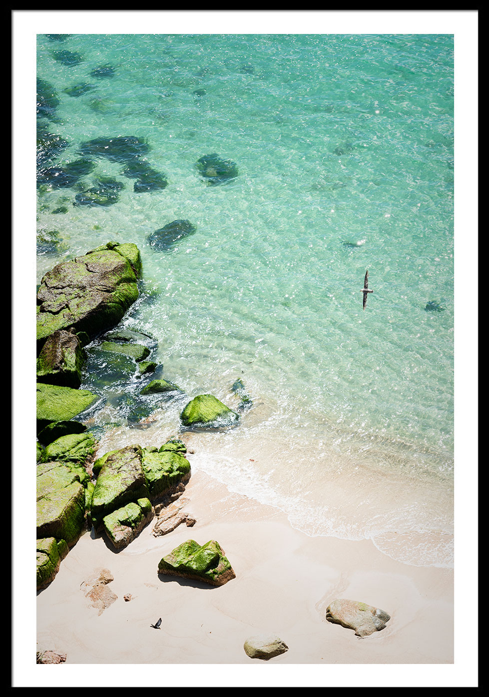 Looking down onto Pedn Vounder Beach on a perfect day. Art Print.